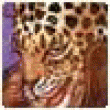 Evroavfdw's picture Evroavfdw's picture
