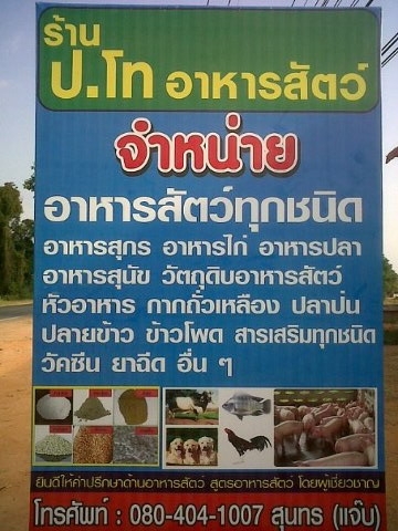 ป.โทอาหารสัตว์