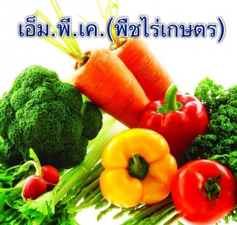 เอ็ม.พี.เค.(พืชไร่เกษตร)